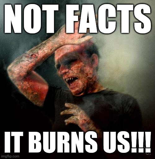 burning vampire | NOT FACTS IT BURNS US!!! | image tagged in burning vampire | made w/ Imgflip meme maker