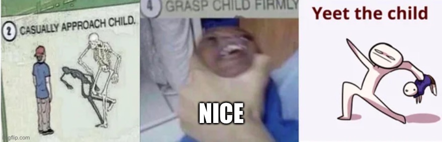 Casually Approach Child, Grasp Child Firmly, Yeet the Child | NICE | image tagged in casually approach child grasp child firmly yeet the child | made w/ Imgflip meme maker