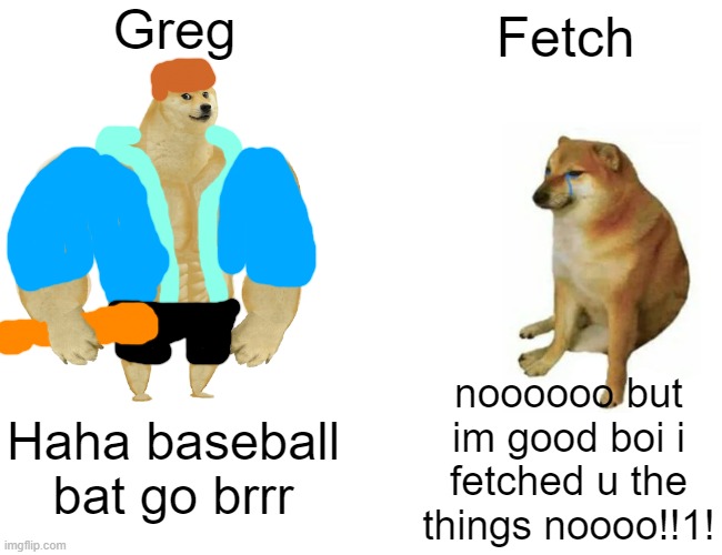 Fetch be like : | Greg; Fetch; noooooo but im good boi i fetched u the things noooo!!1! Haha baseball bat go brrr | image tagged in memes,buff doge vs cheems | made w/ Imgflip meme maker