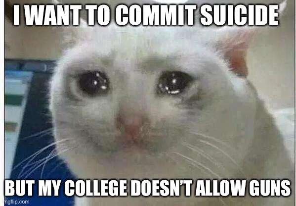 any other method is not reliable enough, so i have to wait until i finish college | I WANT TO COMMIT SUICIDE; BUT MY COLLEGE DOESN’T ALLOW GUNS | image tagged in crying cat | made w/ Imgflip meme maker