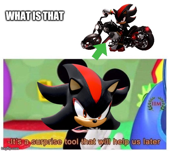 How are you gonna use it though??? | WHAT IS THAT | image tagged in it's a surprise tool that will help us later,shadow the hedgehog | made w/ Imgflip meme maker