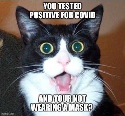 Shocked Cat | YOU TESTED POSITIVE FOR COVID; AND YOUR NOT WEARING A MASK? | image tagged in shocked cat | made w/ Imgflip meme maker