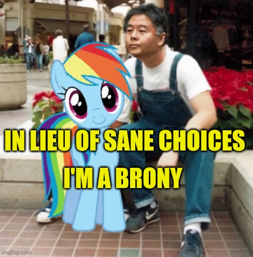 In lieu of Sanity | I'M A BRONY; IN LIEU OF SANE CHOICES | image tagged in bony's,democrat congressmen,government corruption,old pervert,mass shooting,evil government | made w/ Imgflip meme maker