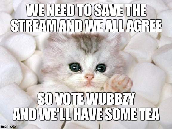 I tried a rhyme okay | WE NEED TO SAVE THE STREAM AND WE ALL AGREE; SO VOTE WUBBZY AND WE'LL HAVE SOME TEA | image tagged in no save me,rhyme | made w/ Imgflip meme maker