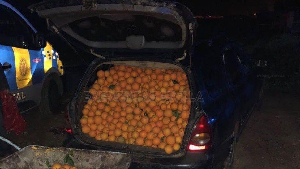 car with oranges Blank Meme Template