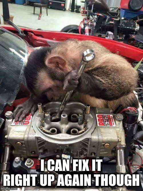 Monkey mechanic | I CAN FIX IT RIGHT UP AGAIN THOUGH | image tagged in monkey mechanic | made w/ Imgflip meme maker