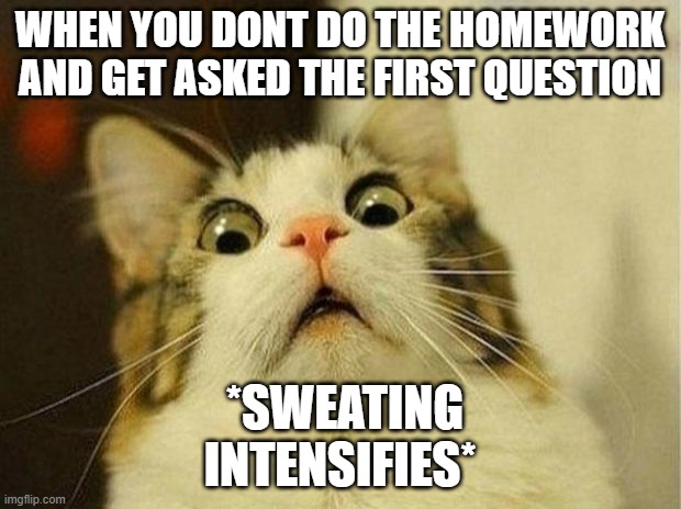 Scared Cat Meme | WHEN YOU DONT DO THE HOMEWORK AND GET ASKED THE FIRST QUESTION; *SWEATING INTENSIFIES* | image tagged in memes,scared cat | made w/ Imgflip meme maker