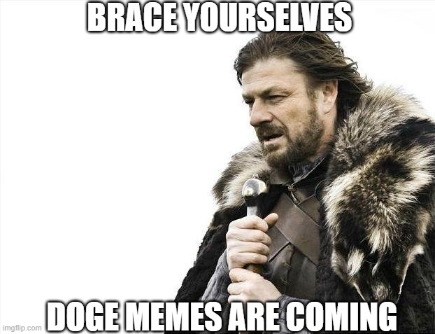 Brace Yourselves X is Coming Meme | BRACE YOURSELVES; DOGE MEMES ARE COMING | image tagged in memes,brace yourselves x is coming | made w/ Imgflip meme maker