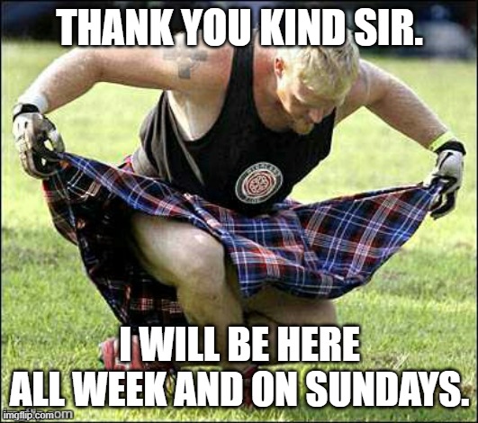 Bow | THANK YOU KIND SIR. I WILL BE HERE ALL WEEK AND ON SUNDAYS. | image tagged in bow | made w/ Imgflip meme maker