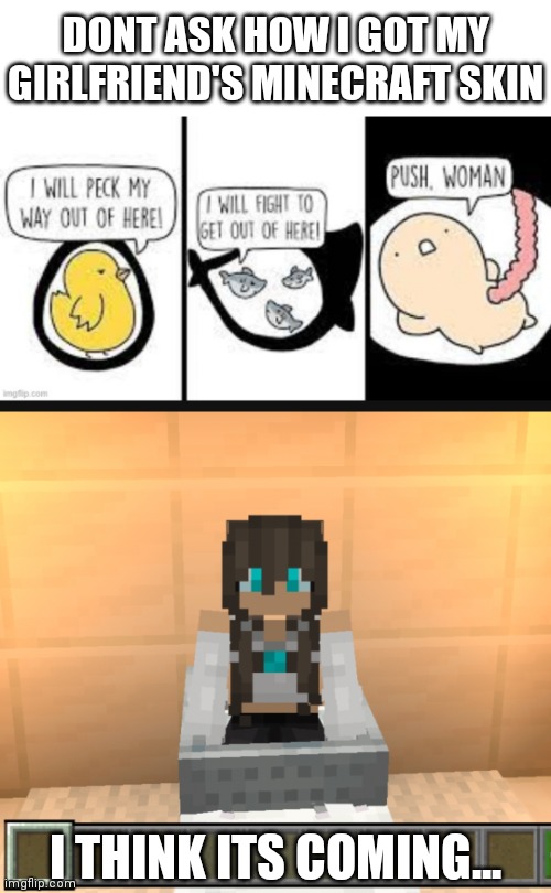 The minecart helped censor whats going on | DONT ASK HOW I GOT MY GIRLFRIEND'S MINECRAFT SKIN; I THINK ITS COMING... | image tagged in push woman | made w/ Imgflip meme maker