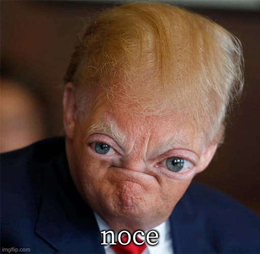 Waw noice very noice | noce | image tagged in waw noice very noice | made w/ Imgflip meme maker