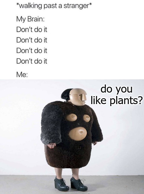 do you like plants? | image tagged in plants | made w/ Imgflip meme maker