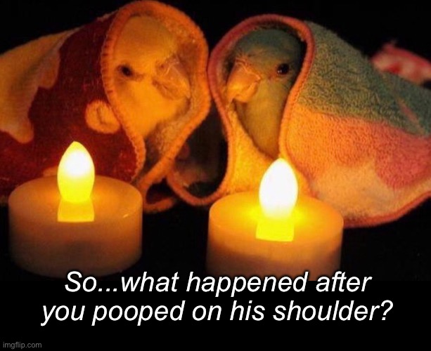 Birds Swapping Scary Stories | So...what happened after you pooped on his shoulder? | image tagged in funny memes,birds | made w/ Imgflip meme maker