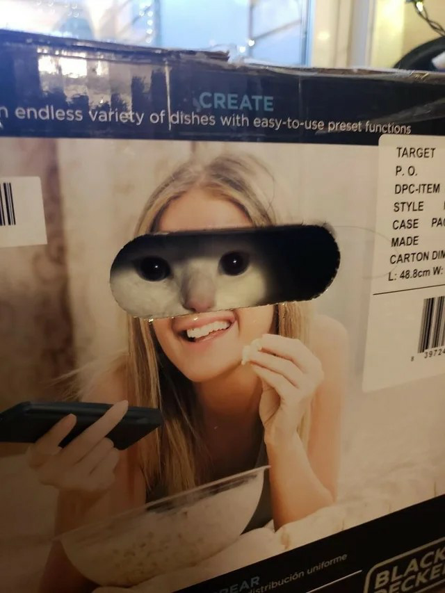 High Quality Box with woman photo cat looking through cut out Blank Meme Template