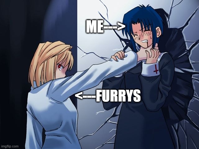 my relationship with furrys | ME--->; <---FURRYS | image tagged in ciel vs arc | made w/ Imgflip meme maker