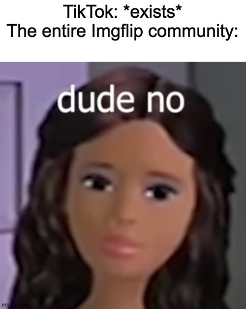 idkwhattoputhere | TikTok: *exists*
The entire Imgflip community: | image tagged in tiktok | made w/ Imgflip meme maker