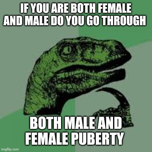 I couldn't even find the answer on Google | IF YOU ARE BOTH FEMALE AND MALE DO YOU GO THROUGH; BOTH MALE AND FEMALE PUBERTY | image tagged in philociraptor | made w/ Imgflip meme maker