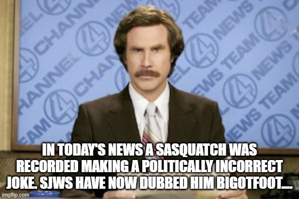 Ron Burgundy | IN TODAY'S NEWS A SASQUATCH WAS RECORDED MAKING A POLITICALLY INCORRECT JOKE. SJWS HAVE NOW DUBBED HIM BIGOTFOOT.... | image tagged in memes,ron burgundy | made w/ Imgflip meme maker