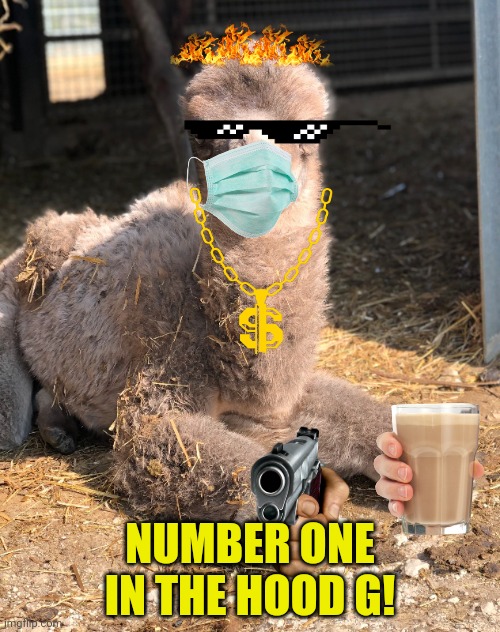 NUMBER ONE IN THE HOOD G! | made w/ Imgflip meme maker