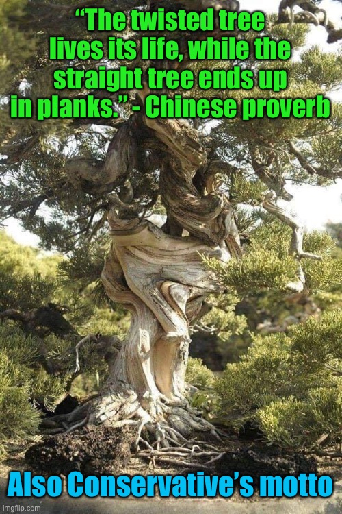 Twisted | “The twisted tree lives its life, while the straight tree ends up in planks.” - Chinese proverb; Also Conservative’s motto | image tagged in twisted,conservatives | made w/ Imgflip meme maker