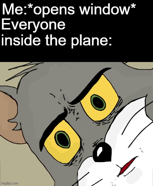 Unsettled Tom | Me:*opens window*; Everyone inside the plane: | image tagged in memes,unsettled tom,plane | made w/ Imgflip meme maker