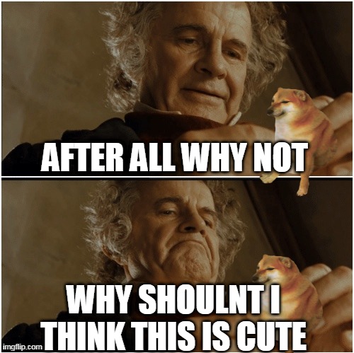 Bilbo - Why shouldn’t I keep it? | AFTER ALL WHY NOT; WHY SHOULNT I THINK THIS IS CUTE | image tagged in bilbo - why shouldn t i keep it | made w/ Imgflip meme maker