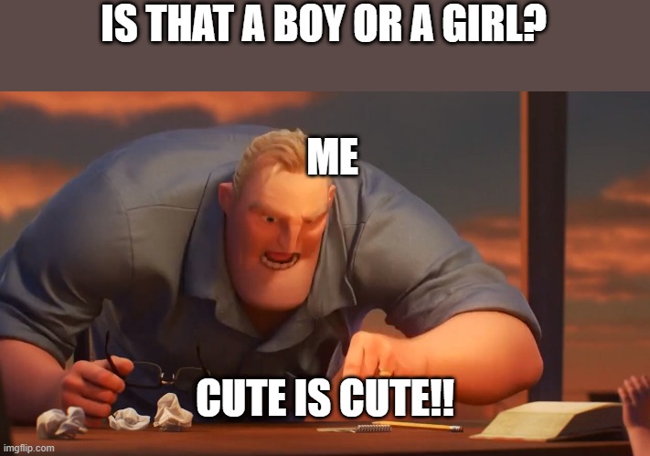 weebs be like... | IS THAT A BOY OR A GIRL? ME; CUTE IS CUTE!! | image tagged in math is math | made w/ Imgflip meme maker