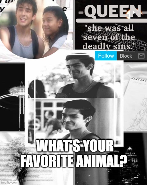 Queen. | WHAT'S YOUR FAVORITE ANIMAL? | image tagged in queen | made w/ Imgflip meme maker