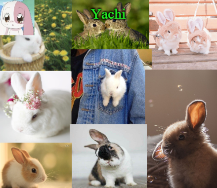 Yachis bunny temp part 2 Blank Meme Template