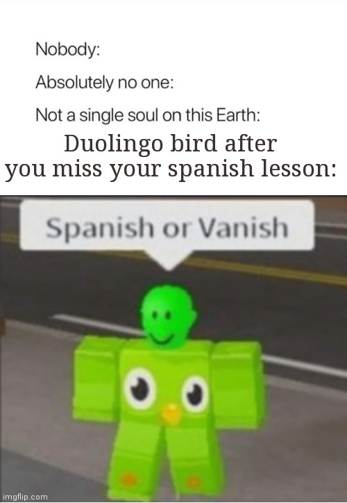 Duolingo is coming for you | Duolingo bird after you miss your spanish lesson: | image tagged in nobody absolutely no one,duolingo bird,disturbing,funny,memes | made w/ Imgflip meme maker