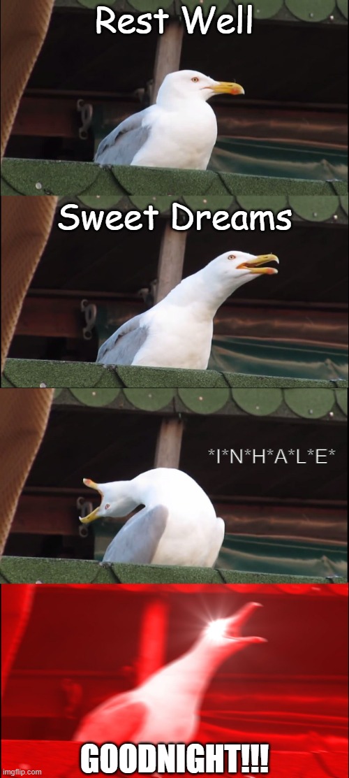Inhaling Seagull Meme | Rest Well; Sweet Dreams; *I*N*H*A*L*E*; GOODNIGHT!!! | image tagged in memes,inhaling seagull | made w/ Imgflip meme maker