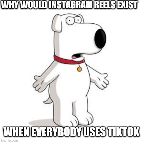Family Guy Brian Meme | WHY WOULD INSTAGRAM REELS EXIST; WHEN EVERYBODY USES TIKTOK | image tagged in memes,family guy brian,brian griffin,funny memes,family guy,dog | made w/ Imgflip meme maker