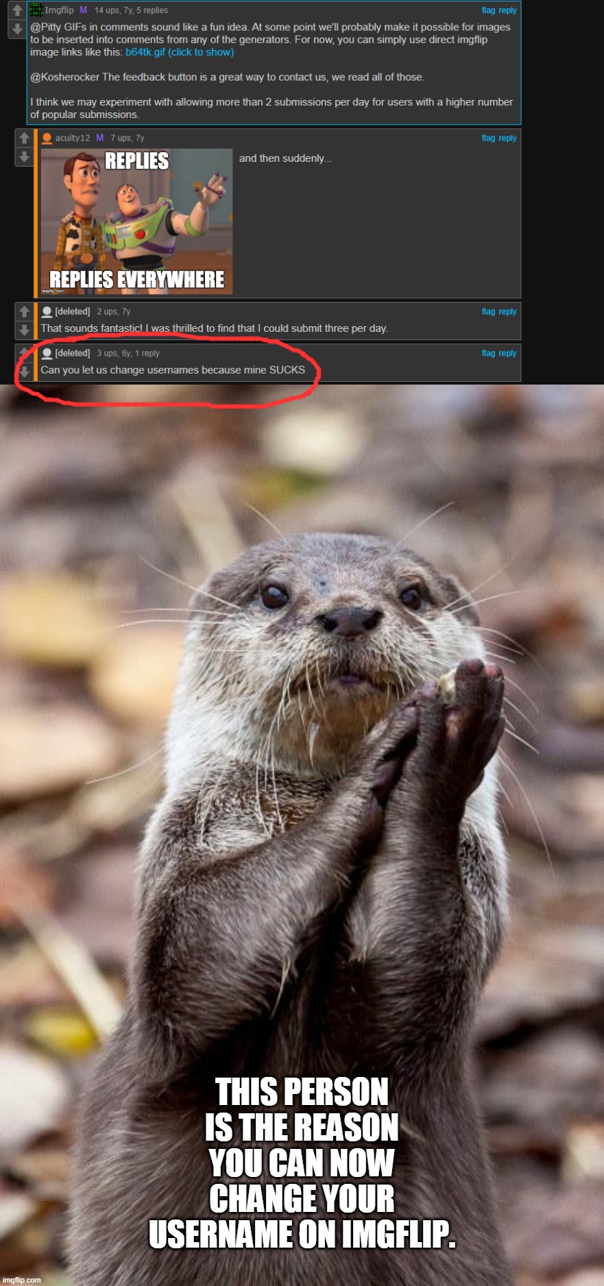 THIS PERSON IS THE REASON YOU CAN NOW CHANGE YOUR USERNAME ON IMGFLIP. | image tagged in slow-clap otter | made w/ Imgflip meme maker