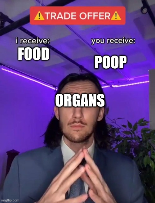 S t o m a c h | FOOD; POOP; ORGANS | image tagged in trade offer | made w/ Imgflip meme maker