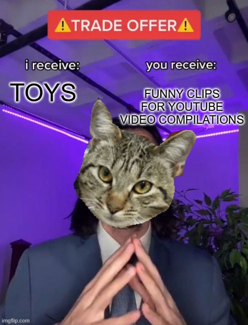nothing to commentate | FUNNY CLIPS FOR YOUTUBE VIDEO COMPILATIONS; TOYS | image tagged in trade offer,cats | made w/ Imgflip meme maker