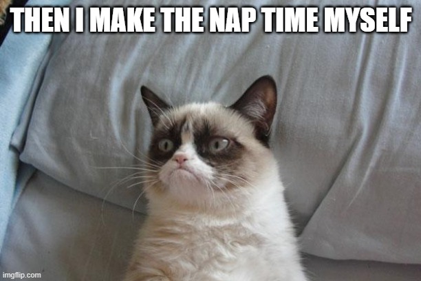 Grumpy Cat Bed Meme | THEN I MAKE THE NAP TIME MYSELF | image tagged in memes,grumpy cat bed,grumpy cat | made w/ Imgflip meme maker