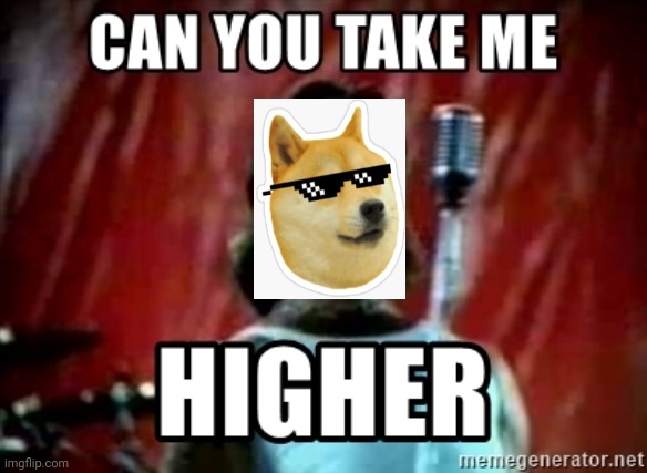 image tagged in dogecoin | made w/ Imgflip meme maker