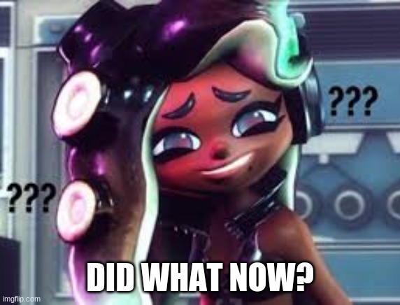 Confused Marina | DID WHAT NOW? | image tagged in confused marina | made w/ Imgflip meme maker