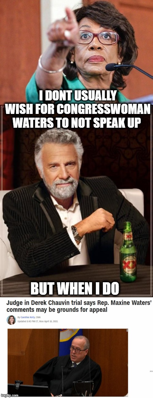 Let the jury do its job. | I DONT USUALLY WISH FOR CONGRESSWOMAN WATERS TO NOT SPEAK UP; BUT WHEN I DO | image tagged in memes,the most interesting man in the world,politics,police brutality,riots | made w/ Imgflip meme maker