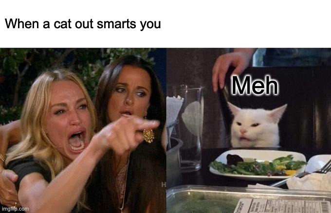 Meh | When a cat out smarts you; Meh | image tagged in memes,woman yelling at cat | made w/ Imgflip meme maker