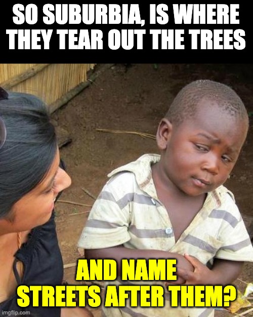 Suburbia | SO SUBURBIA, IS WHERE THEY TEAR OUT THE TREES; AND NAME STREETS AFTER THEM? | image tagged in memes,third world skeptical kid | made w/ Imgflip meme maker