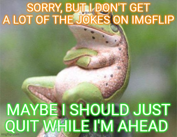 Some jokes are just plain nonsense |  SORRY, BUT I DON'T GET A LOT OF THE JOKES ON IMGFLIP; MAYBE I SHOULD JUST QUIT WHILE I'M AHEAD | image tagged in frog crossed arms,bad jokes,i dont know,quit,not funny | made w/ Imgflip meme maker
