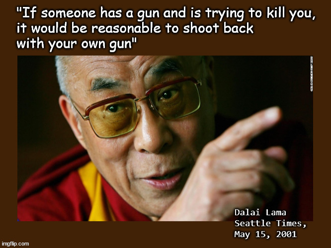 Shooting back is reasonable | image tagged in gun control,politics,dalai lama | made w/ Imgflip meme maker
