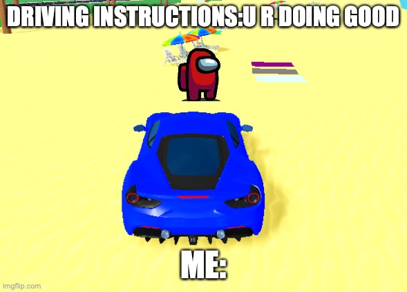 run over | DRIVING INSTRUCTIONS:U R DOING GOOD; ME: | image tagged in memes | made w/ Imgflip meme maker
