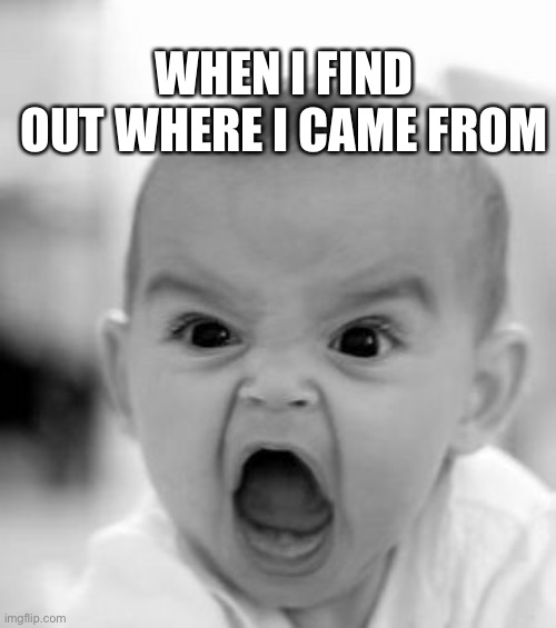 Angry Baby Meme | WHEN I FIND OUT WHERE I CAME FROM | image tagged in memes,angry baby | made w/ Imgflip meme maker