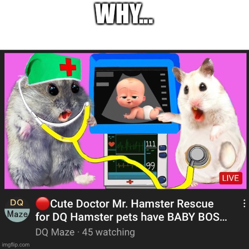 WHY... | made w/ Imgflip meme maker