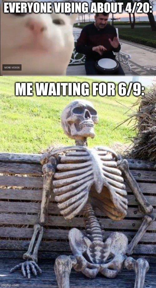 actually put effort into this one XD | EVERYONE VIBING ABOUT 4/20:; ME WAITING FOR 6/9: | image tagged in vibing cat,memes,waiting skeleton | made w/ Imgflip meme maker