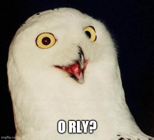 O RLY? | O RLY? | image tagged in o rly | made w/ Imgflip meme maker