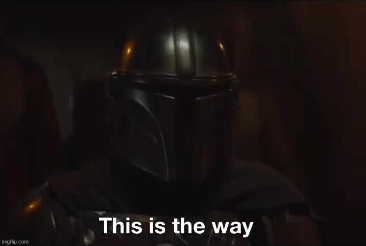 This is the way | image tagged in this is the way | made w/ Imgflip meme maker