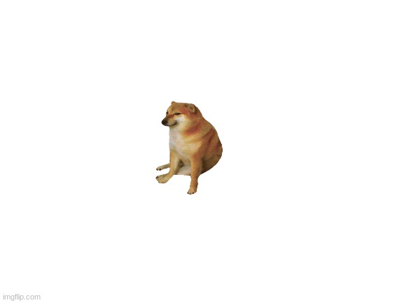 repost but add a cheem | image tagged in blank white template | made w/ Imgflip meme maker